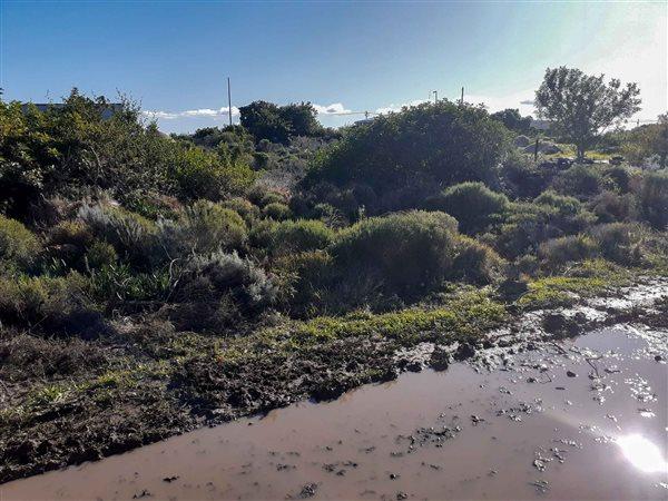 0 Bedroom Property for Sale in Paradise Beach Eastern Cape
